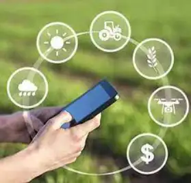 ContractFarming