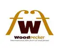 Woodpecker International Film Festival